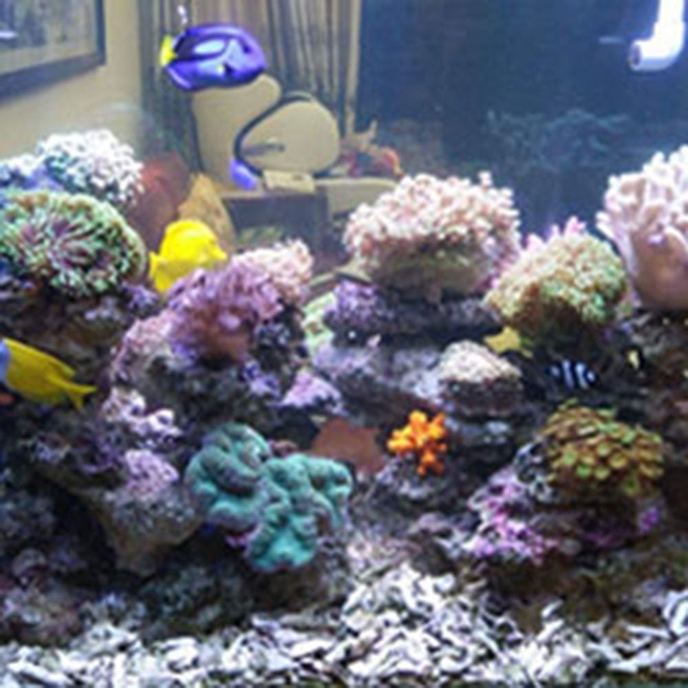 HEVIRGO 11W Aquarium Submersible Purifier UV Light Fish Tank Underwater Lamp Animals & Pet Supplies > Pet Supplies > Fish Supplies > Aquarium Lighting HEVIRGO   