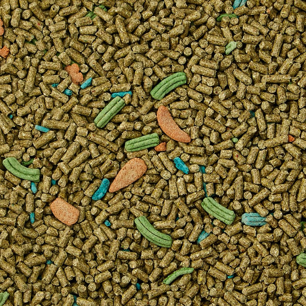 Kaytee Forti-Diet Pro Health Guinea Pig Food, 5 Lb Animals & Pet Supplies > Pet Supplies > Small Animal Supplies > Small Animal Food Central Garden and Pet   