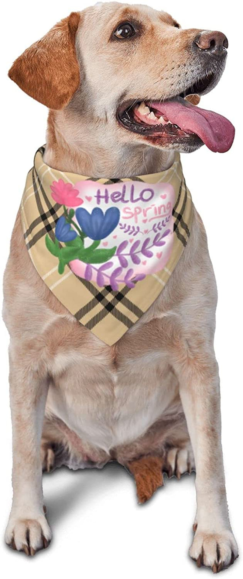 Floral Labels Hello Spring Blue Pet Dog and Cat Decorative Triangle Scarf,Dog Bandana,Breathable and Stain Resistant. Animals & Pet Supplies > Pet Supplies > Dog Supplies > Dog Apparel ZALTAS   