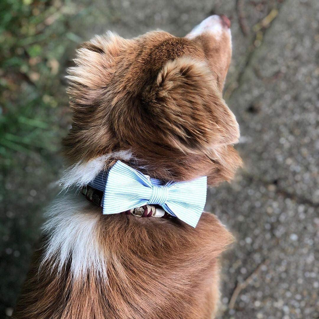 Unique Style Paws Pet Soft &Comfy Bowtie Dog Collar and Cat Collar Pet Gift for Dogs and Cats 6 Size and 7 Patterns Animals & Pet Supplies > Pet Supplies > Dog Supplies > Dog Apparel USP   