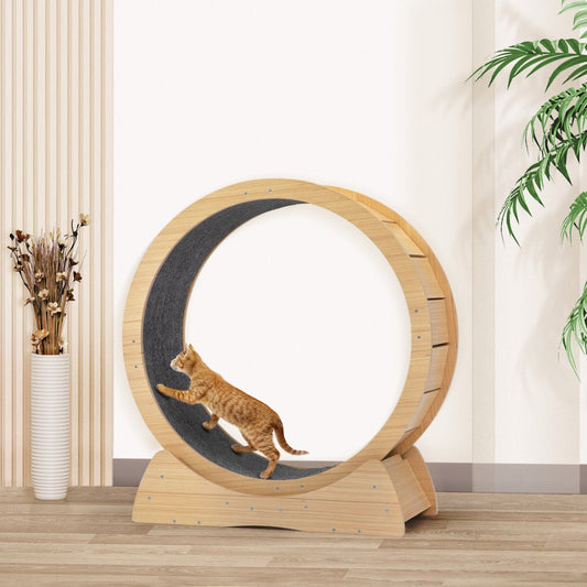 Coziwow Cat Toy Cat Running Wheel Cat Exercise Treadmill Weight Loss Device Solid Wood Roller Animals & Pet Supplies > Pet Supplies > Cat Supplies > Cat Toys Coziwow   