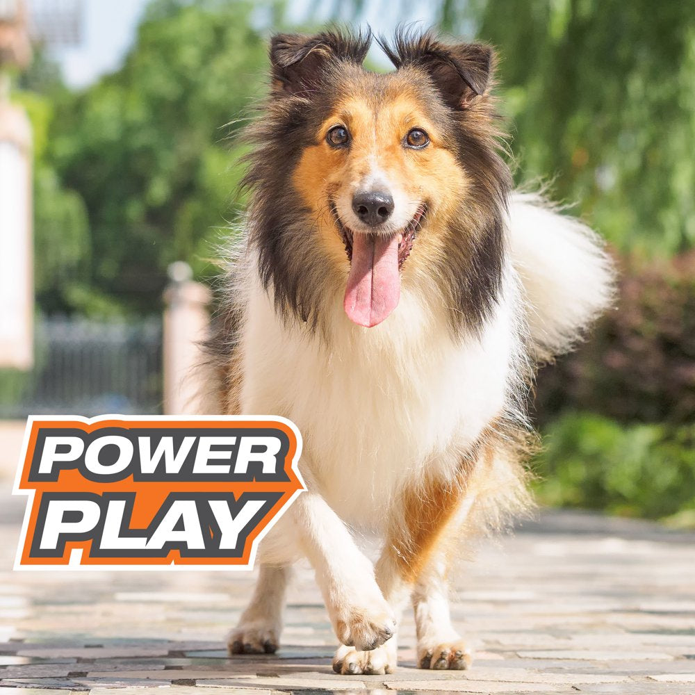 Nylabone Power Play Dog Fetch Toys Fling-A-Bounce Medium - 10 In.