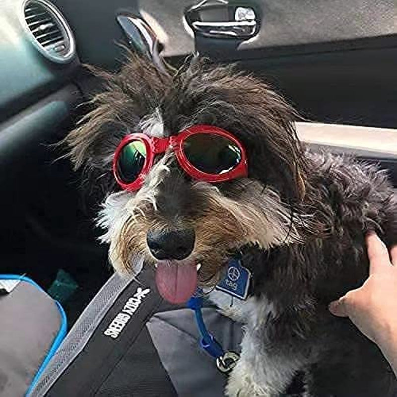 NW Dog Goggles Pet Sunglasses Adjustable Folding Eye Wear UV Protection Windproof Polarized Sunglasses for Dogs about over 15 Lbs, Red Animals & Pet Supplies > Pet Supplies > Dog Supplies > Dog Apparel N\W   