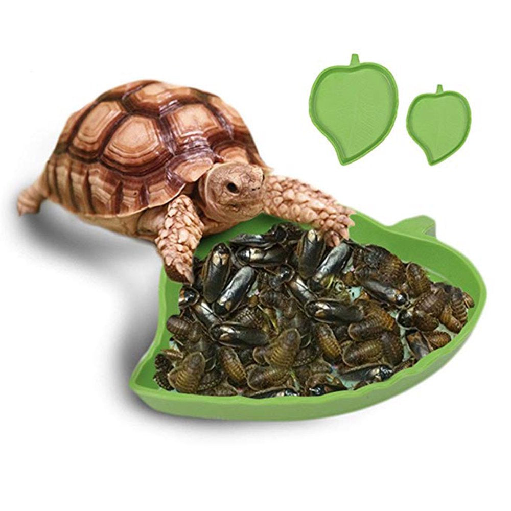 Amphibians Reptiles Feeder Plastic Reptile Terrarium Feeding Basin Tortoise Crawler Bowl Basin Water Fountain for Turtles Green 1.2*9.5*12Cm Animals & Pet Supplies > Pet Supplies > Reptile & Amphibian Supplies > Reptile & Amphibian Food Robot-GxG   