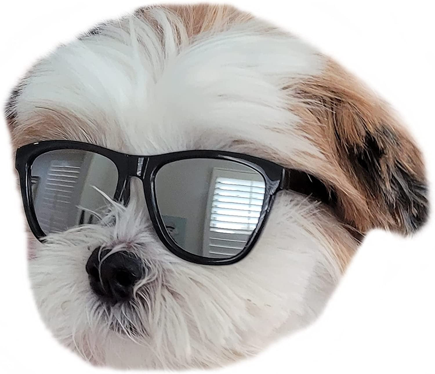 G014 Dog Pet 80S Sunglasses Goggles for Small Dogs up to 15Lbs (Pink) Animals & Pet Supplies > Pet Supplies > Dog Supplies > Dog Apparel Style Vault Black-mirror  