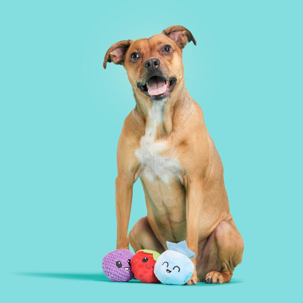 BARK Wild Berry Bunch Dog Toy Multi-Pack - Features 3 Toys with Squeakers Animals & Pet Supplies > Pet Supplies > Dog Supplies > Dog Toys BARK   