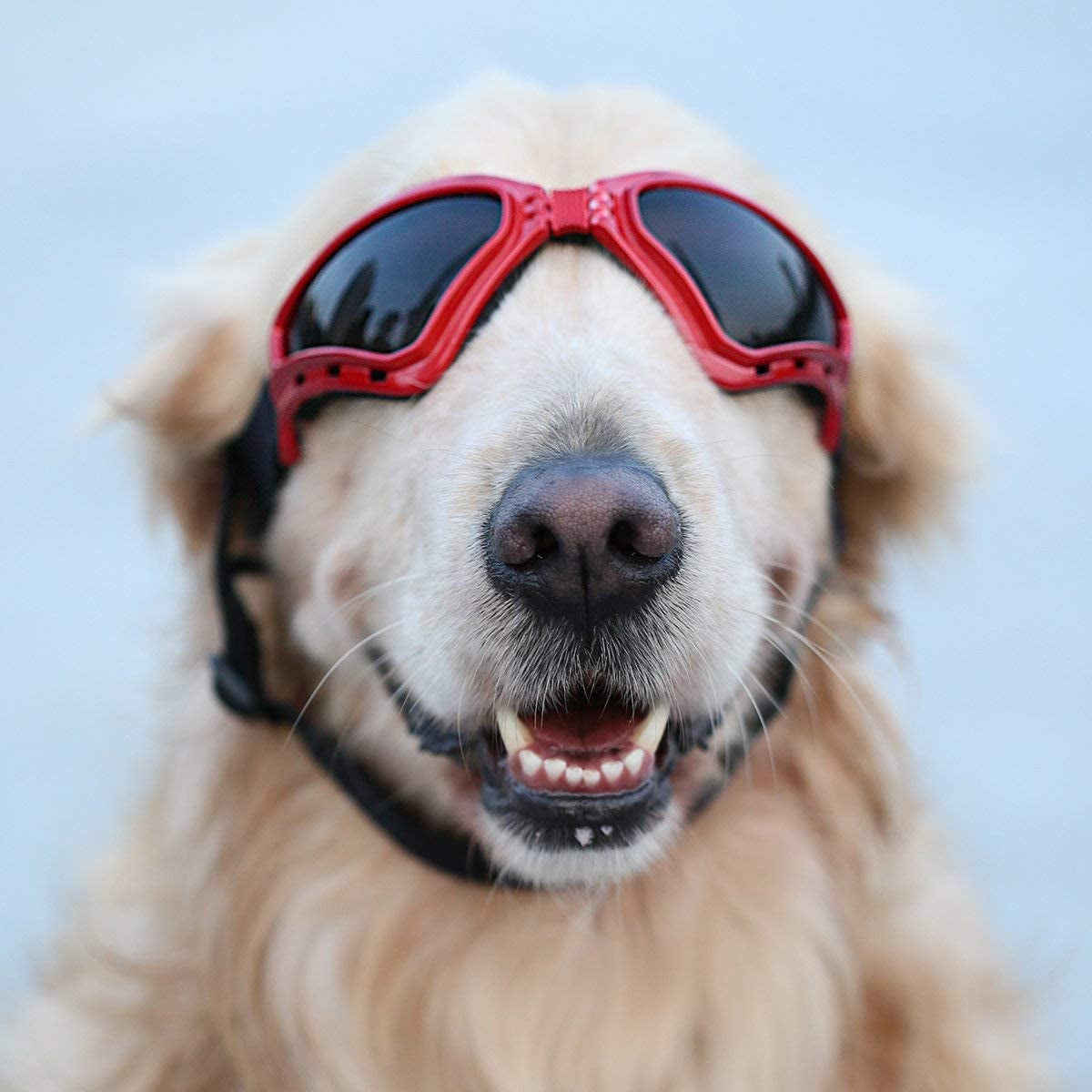 PETLESO Large Dog Goggles, Eye Protection Pet Goggles Sunglasses for Medium Large Dogs- Red Animals & Pet Supplies > Pet Supplies > Dog Supplies > Dog Apparel PETLESO   