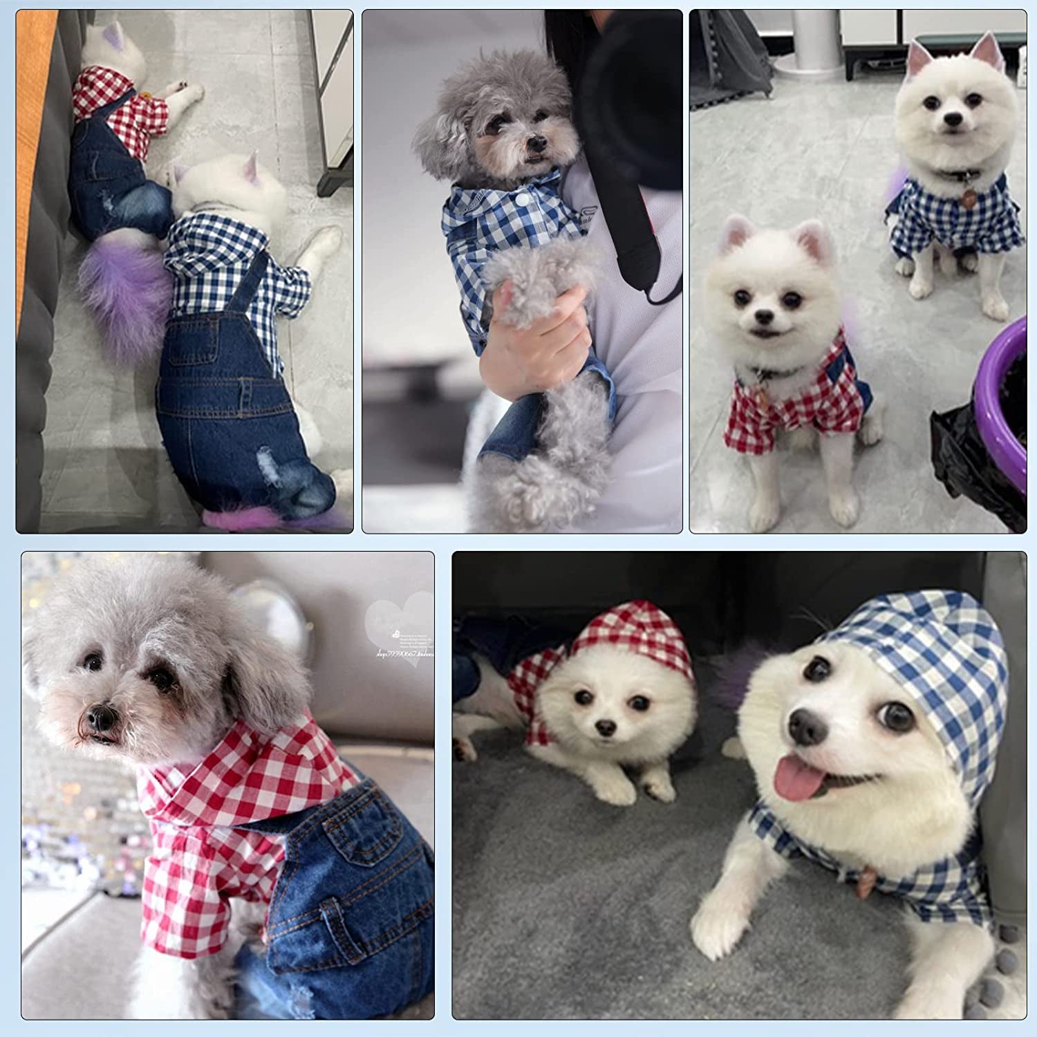 PETCARE Pet Dog Denim Jumpsuit Plaid Hoodies Puppy Overalls Doggy Jeans Jacket Clothes for Small Dogs Cats Chihuahua Yorkie Spring Summer Costume Outfit
