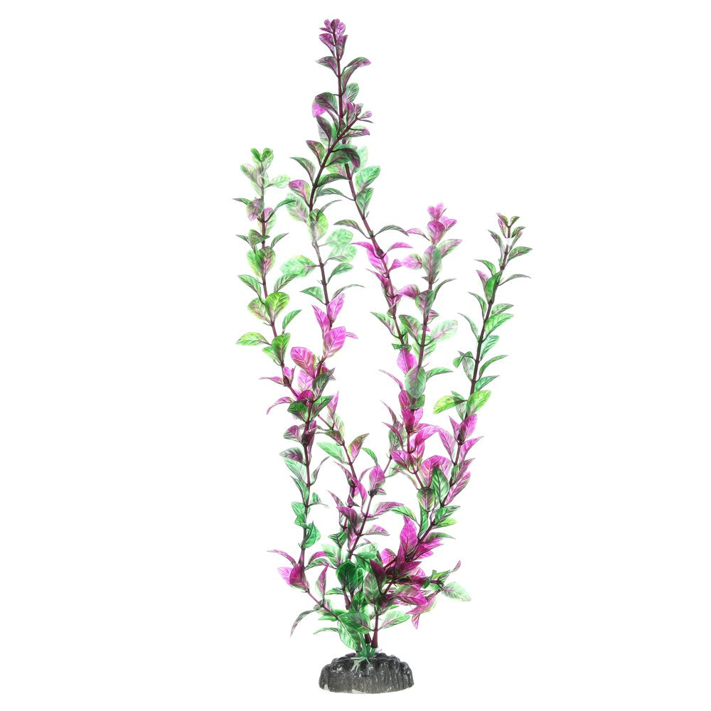 Penn-Plax Aqua-Plants Plastic Aquarium 3 Piece Plant Bundle – Multicolor – 16” Height Animals & Pet Supplies > Pet Supplies > Fish Supplies > Aquarium Decor Penn-Plax   