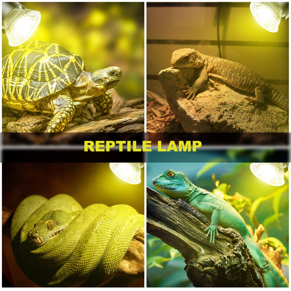 Elegant Choise Tortoise Reptile Heat Lamp Bulb,25W/50W Reptile Heat Lamp Bulb, UVA+UVB Light for Reptiles,E27 Heat Spotlight for Aquarium Reptile,Lizards,Turtle,And Amphibians  Elegant Choise   