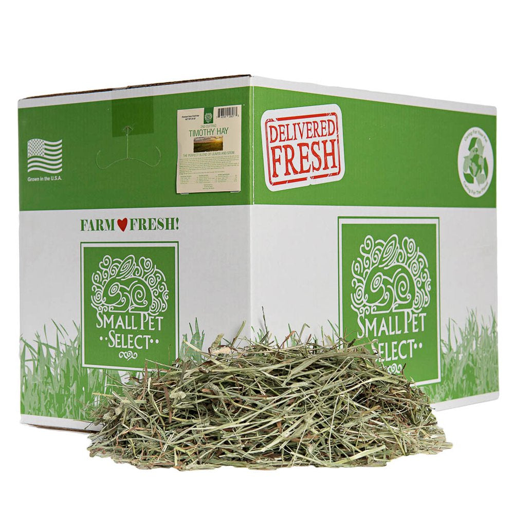 Small Pet Select 2Nd Cutting Timothy Hay Pet Food, 25-Pound Animals & Pet Supplies > Pet Supplies > Small Animal Supplies > Small Animal Food Small Pet Select 20 lbs  