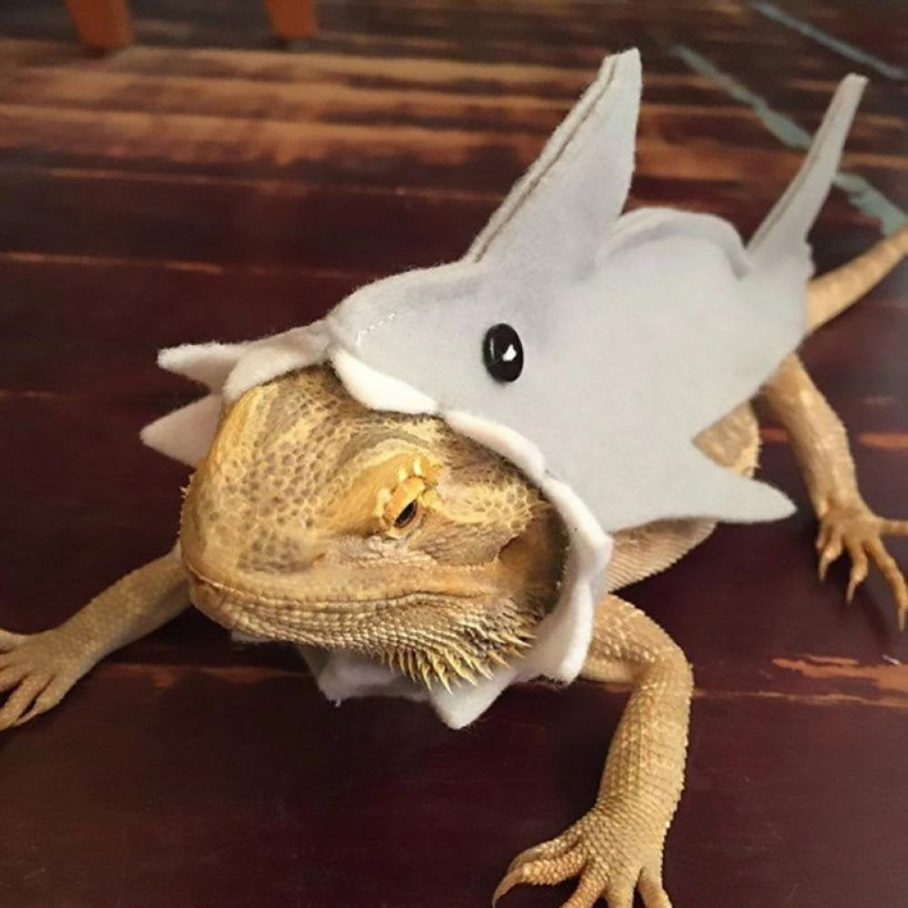 Clearance! Bearded Dragon Shark Outfit Lizard Reptile Shark Costume Handmade Felt Bearded Dragon Harness for Chameleon Gecko Anole Iguana Amphibians, Gray, S Animals & Pet Supplies > Pet Supplies > Dog Supplies > Dog Apparel Peyan   