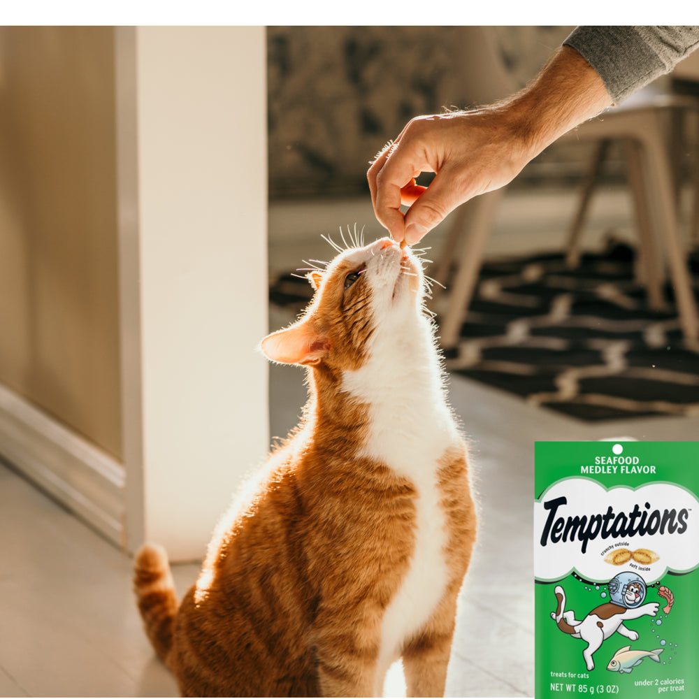 Temptations Seafood Medley Flavor Crunchy and Soft Cat Treats Food Great Snack for Adult Cats, 3 Oz - Pack of 2 Animals & Pet Supplies > Pet Supplies > Cat Supplies > Cat Treats NS   