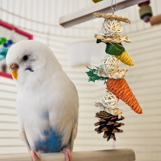 Leaveforme Parrot Bite Toy Corn Cob Pine Cone Colorful Accessories Teeth Grinding Toy Parrot Hanging Swing Toy Bird Chew Toy Cage Accessories Animals & Pet Supplies > Pet Supplies > Bird Supplies > Bird Cage Accessories Leaveforme I  