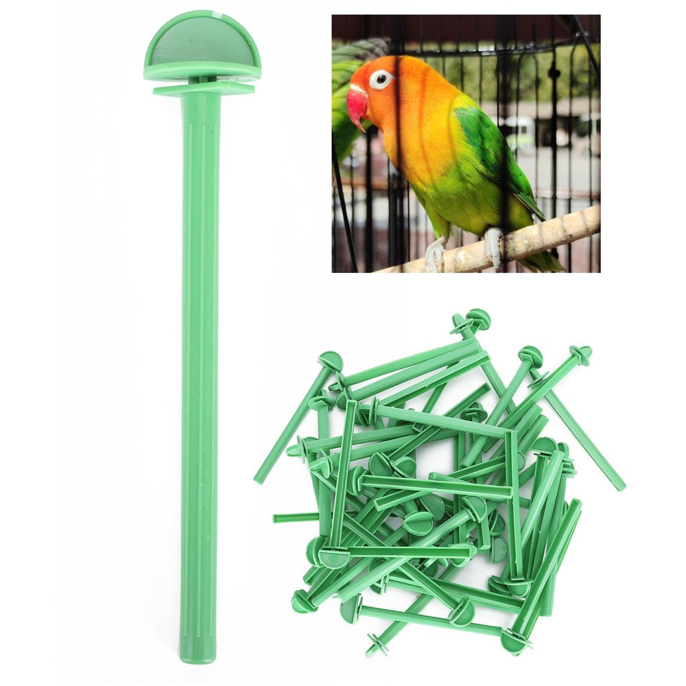 LYUMO 50Pcs Plastic Bird Cage Standing Stick Parrots Parakeet Standing Bar Cage Accessory,Bird Stand Stick,Cage Standing Stick Animals & Pet Supplies > Pet Supplies > Bird Supplies > Bird Cages & Stands LYUMO   