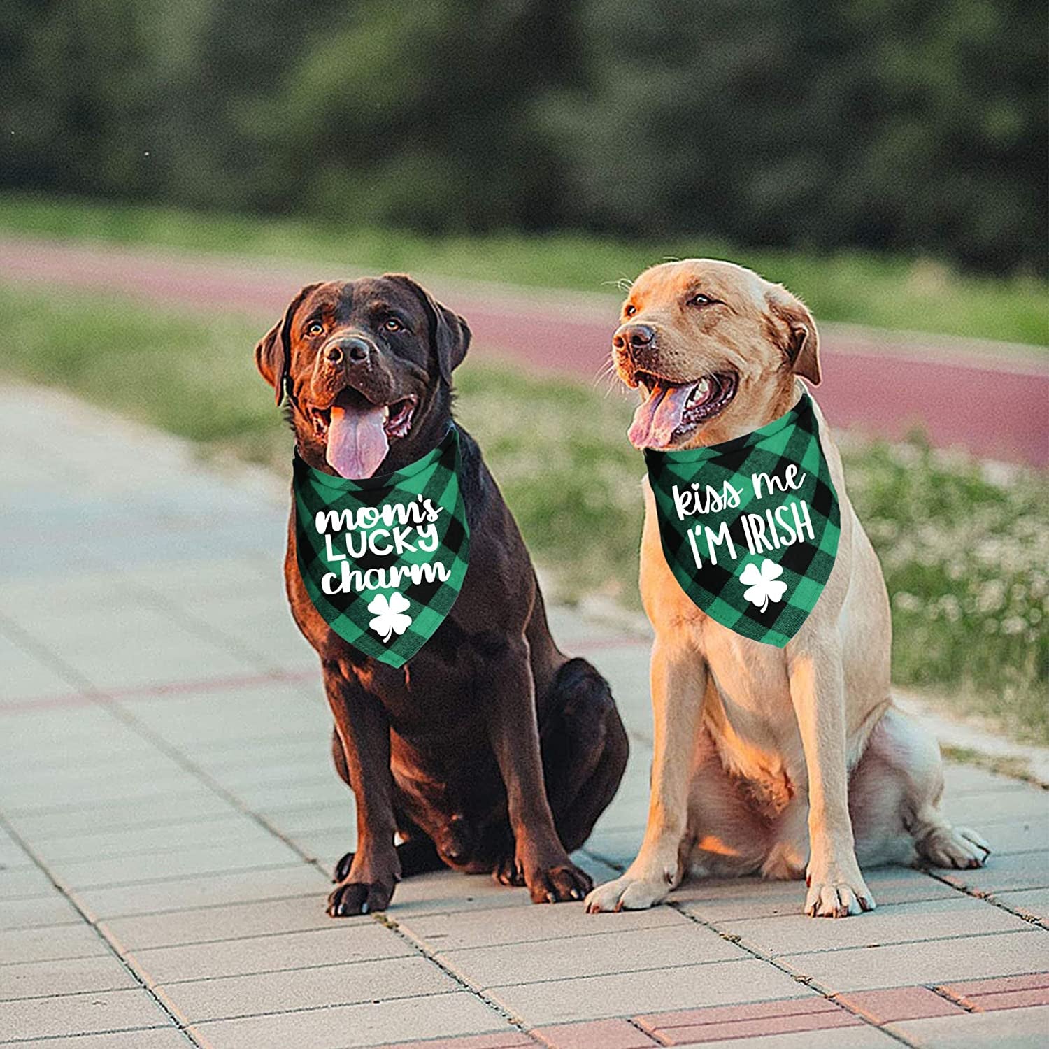 JOTFA St. Patrick’S Day Dog Bandanas, Plaid Dog Puppy St. Patrick’S Day Bandana Scarf for Small Medium Large Dogs Pets (Mom’S Lucky Charm & Kiss Me I’M Irish) Animals & Pet Supplies > Pet Supplies > Dog Supplies > Dog Apparel JOTFA   