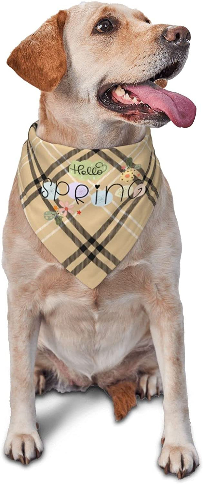 Hello Spring Hand Lettering Pet Dog and Cat Decorative Triangle Scarf,Dog Bandana,Breathable and Stain Resistant. Animals & Pet Supplies > Pet Supplies > Dog Supplies > Dog Apparel ZALTAS   