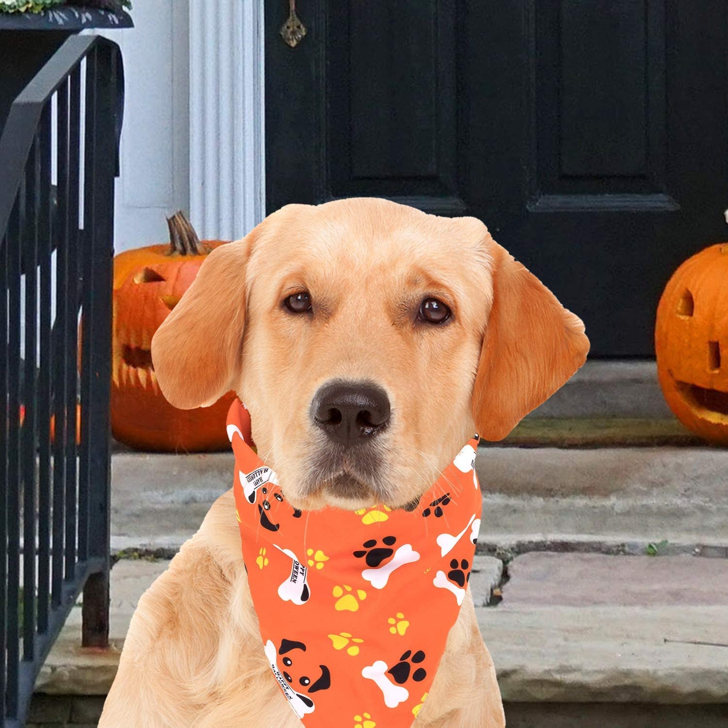 Whaline 5 Pack Halloween Dog Bandanas, Triangle Pet Scarfs Washable Pet Neckerchief Dog Bibs, Pumpkin, Ghost, Candy Corn and Bones Pet Bandanas Animals & Pet Supplies > Pet Supplies > Dog Supplies > Dog Apparel Whaline   