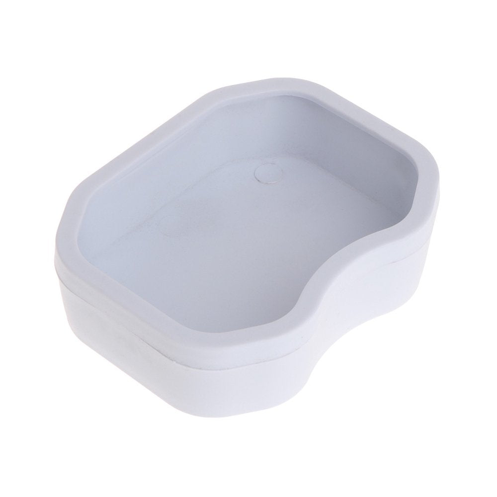 JUNTEX Reptile Water Dish Food Bowl Amphibians Feeder Basin Tray for Chameleons Lizards Animals & Pet Supplies > Pet Supplies > Reptile & Amphibian Supplies > Reptile & Amphibian Food JUNTEX White M 