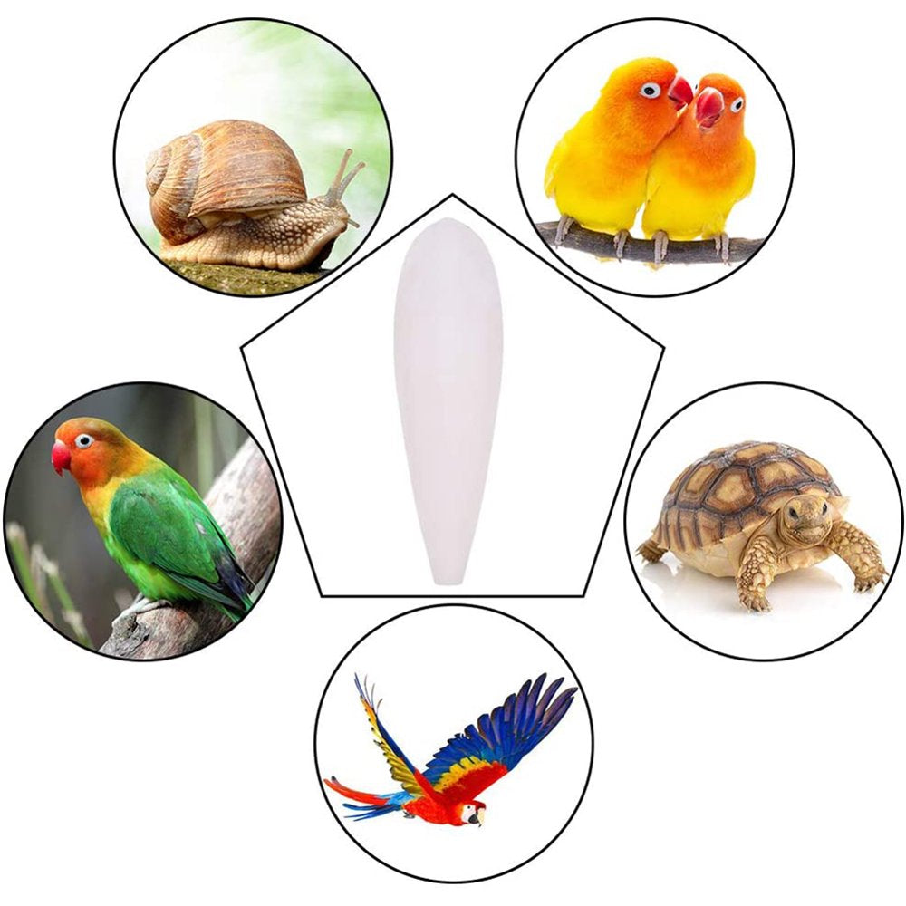 BIOSA 3PCS Bird Cuttlebone Holder Cuttlefish Bones Parrot Toy for Bird Parakeets Finches Canaries 2-4'' 3-5'' 5-6'' Animals & Pet Supplies > Pet Supplies > Bird Supplies > Bird Toys BIOSA   