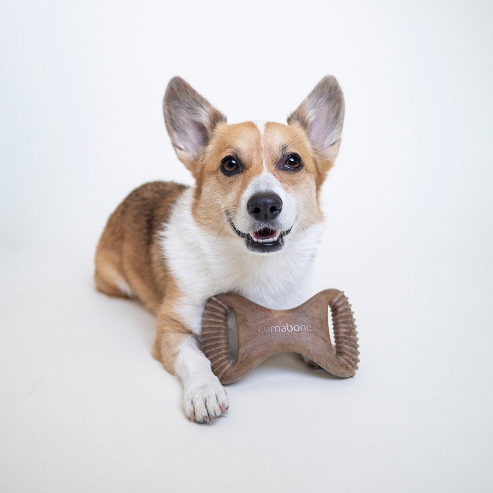 Lumabone Real Bacon Durable Dental Dog Chew Toy, Medium Animals & Pet Supplies > Pet Supplies > Dog Supplies > Dog Toys Lumabone   