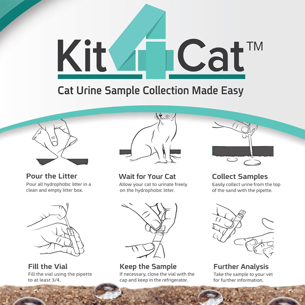 Checkup Kit4Cat 2Lb Hydrophobic Litter Sand Cat Urine Sample Collection Kit