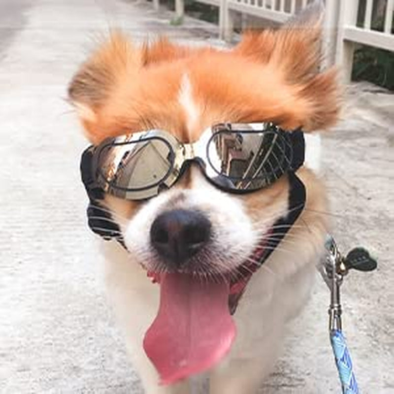 PEDOMUS Dog Sunglasses Small Dog Goggles Doggles Dog Glasses for Small Dogs Adjustable Band Blue Animals & Pet Supplies > Pet Supplies > Dog Supplies > Dog Apparel PEDOMUS Black  