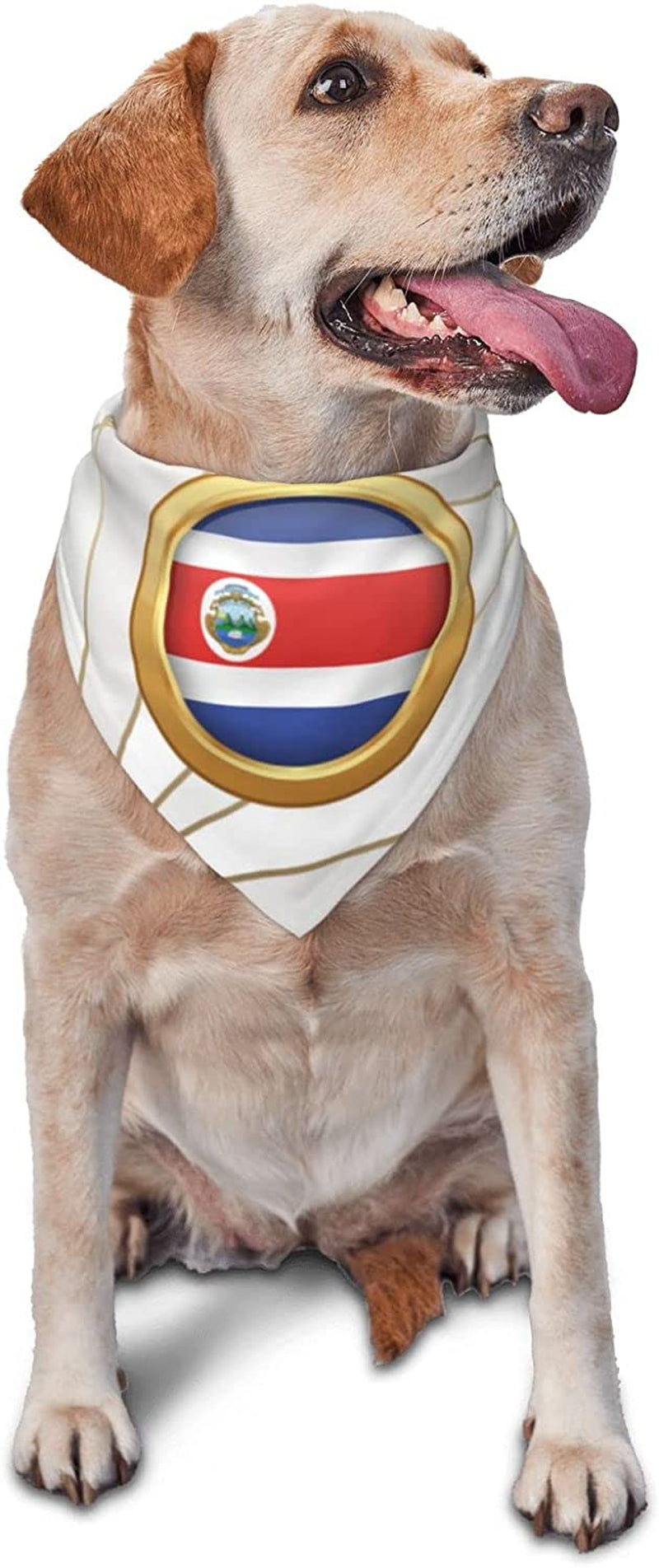 Golden Disc Costa Rica Flag Pet Dog and Cat Decorative Triangle Scarf,Dog Bandana,Breathable and Stain Resistant. Animals & Pet Supplies > Pet Supplies > Dog Supplies > Dog Apparel ZALTAS   