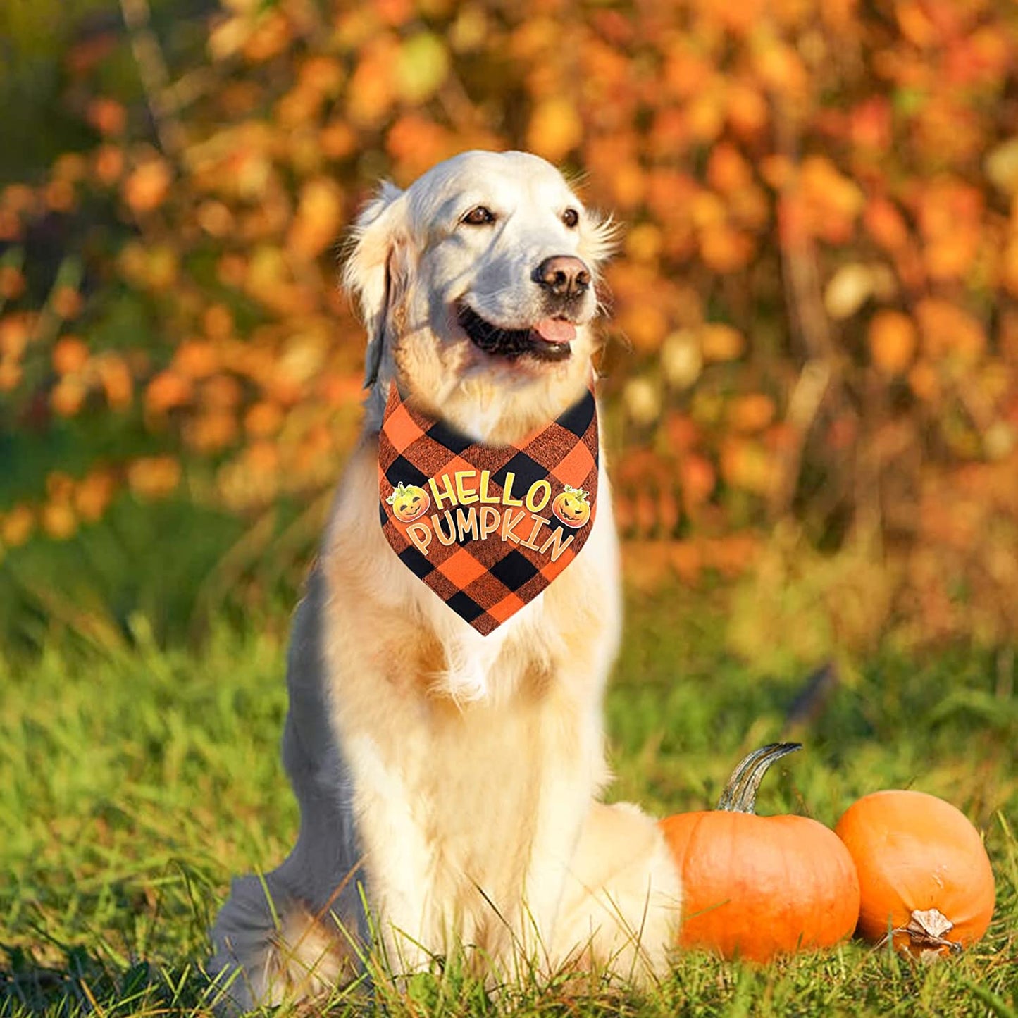 Malier 2 Pack Thanksgiving Dog Bandana, Holiday Classic Buffalo Plaid Turkey Pumpkin Pattern Bandana, Dog Scarf Triangle Bibs Kerchief Costume Accessories for Small Medium Large Dogs Cats (Large) Animals & Pet Supplies > Pet Supplies > Dog Supplies > Dog Apparel Malier   