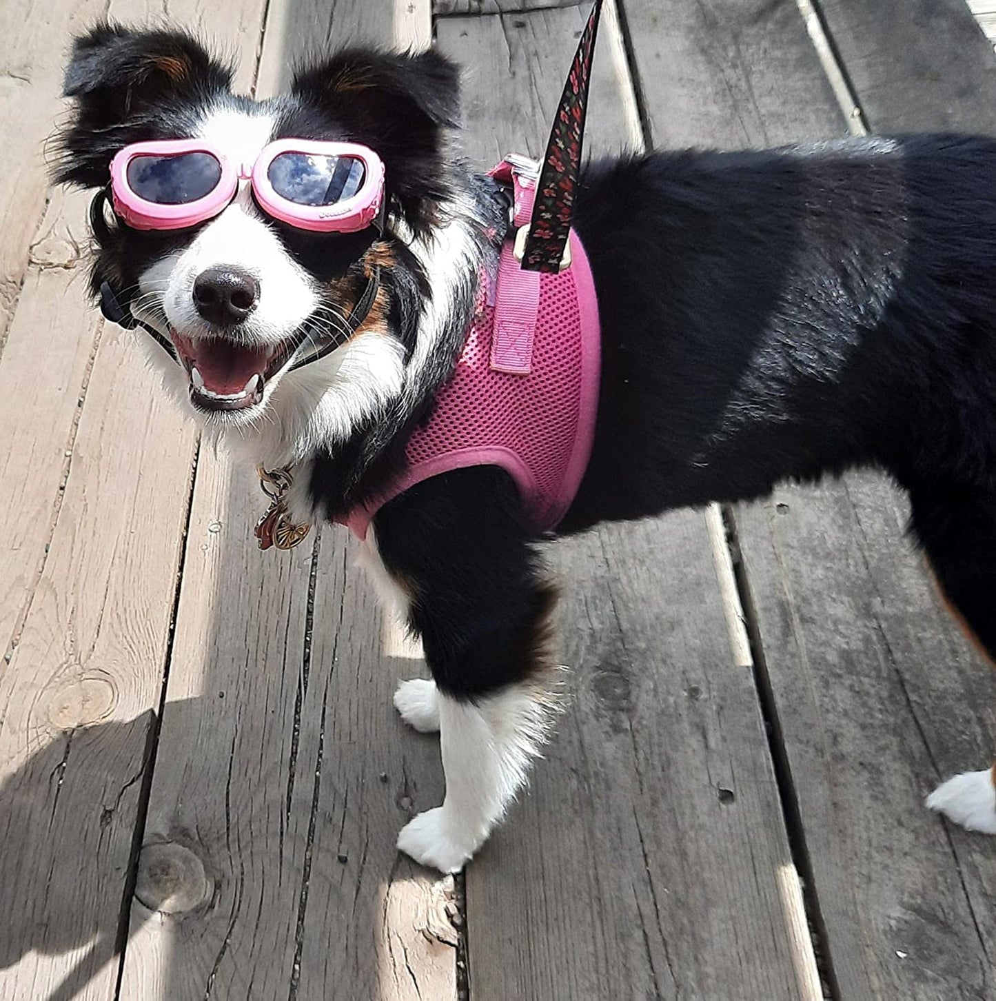 New Version Cocopet Adorable Dog Goggles Pet Sunglasses Eye Wear UV Protection Waterproof Sunglasses for Puppy Dogs Small Medium XS Pink Animals & Pet Supplies > Pet Supplies > Dog Supplies > Dog Apparel cocopet   