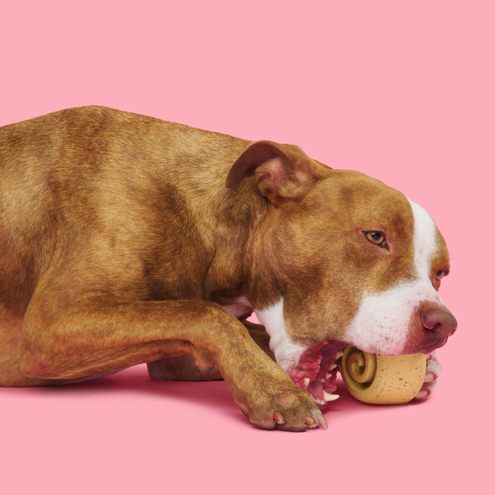 BARK Cinnamutt Roll Super Chewer Dog Toy - Barkfest in Bed Animals & Pet Supplies > Pet Supplies > Dog Supplies > Dog Toys BARK   