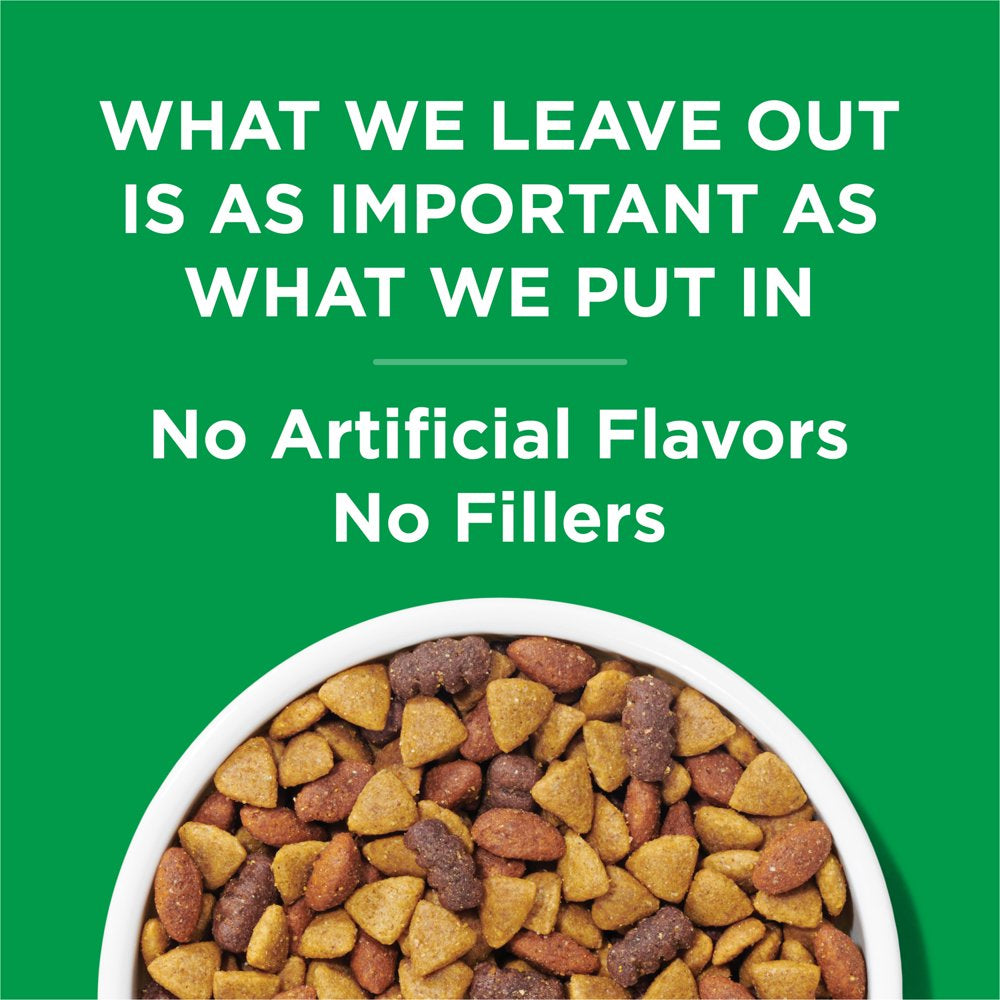 Purina Dog Chow Complete Adult Dry Dog Food Kibble with Chicken Flavor, 44 Lb. Bag Animals & Pet Supplies > Pet Supplies > Small Animal Supplies > Small Animal Food Nestlé Purina PetCare Company   