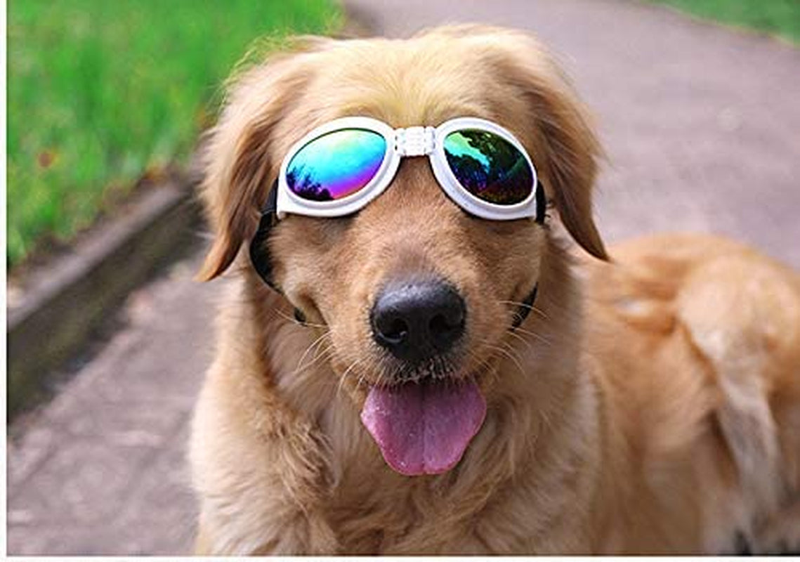 DPLUS Dog Goggles Dog Sunglasses - Glasses Set of 6 - for Dogs Dog Ski Goggles with UV Protection Pet Sunglasses with Adjustable Strap for Travel, Skiing and Anti-Fog Animals & Pet Supplies > Pet Supplies > Dog Supplies > Dog Apparel Dplus   