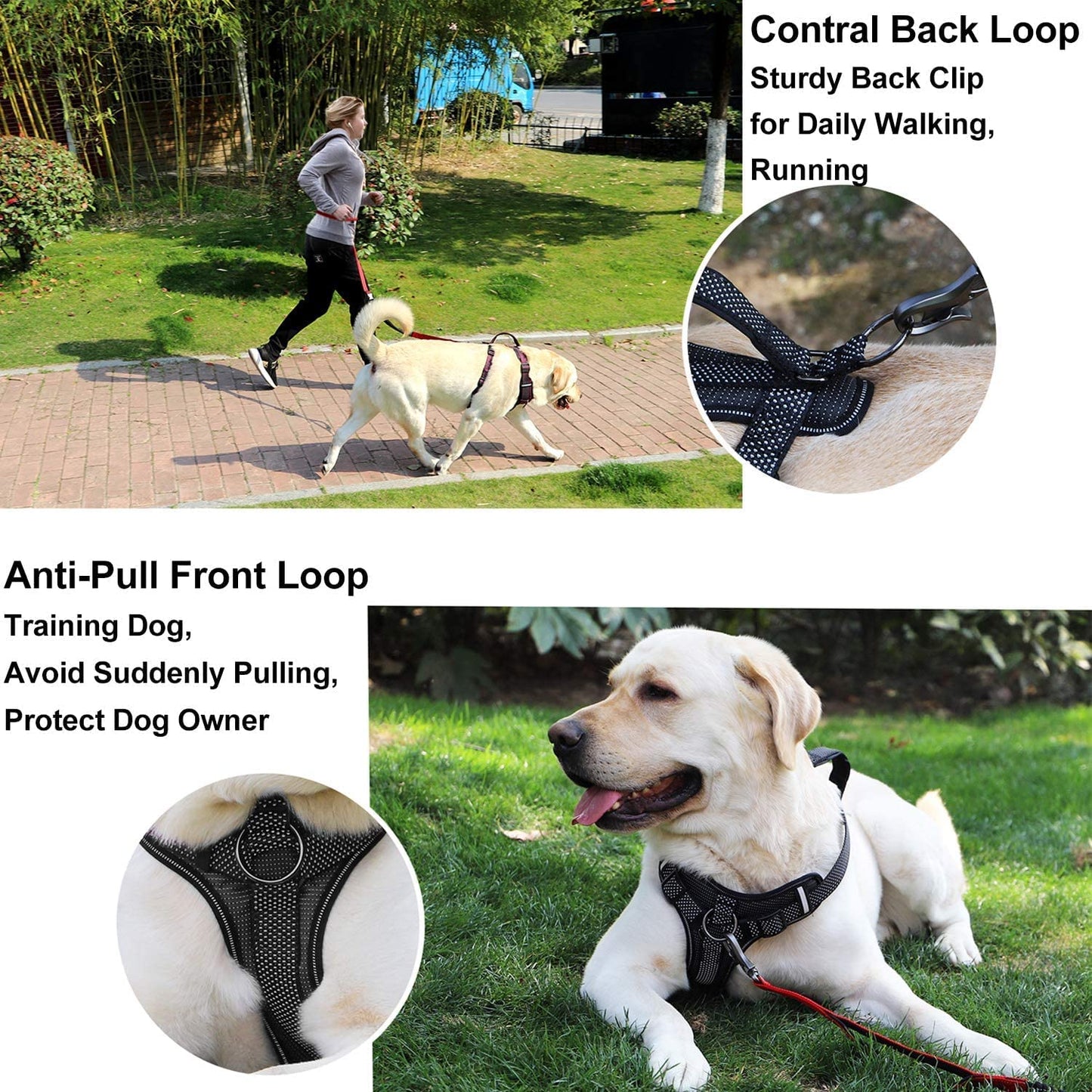 LOS ANDES Ultra-Reflective Dog Harness No Pull Adjustable Pet Harness with Front Clip, Safe Dog Vest with Handle, Easy Control Harness for Small Medium Large Dogs Animals & Pet Supplies > Pet Supplies > Dog Supplies > Dog Apparel LOS ANDES   