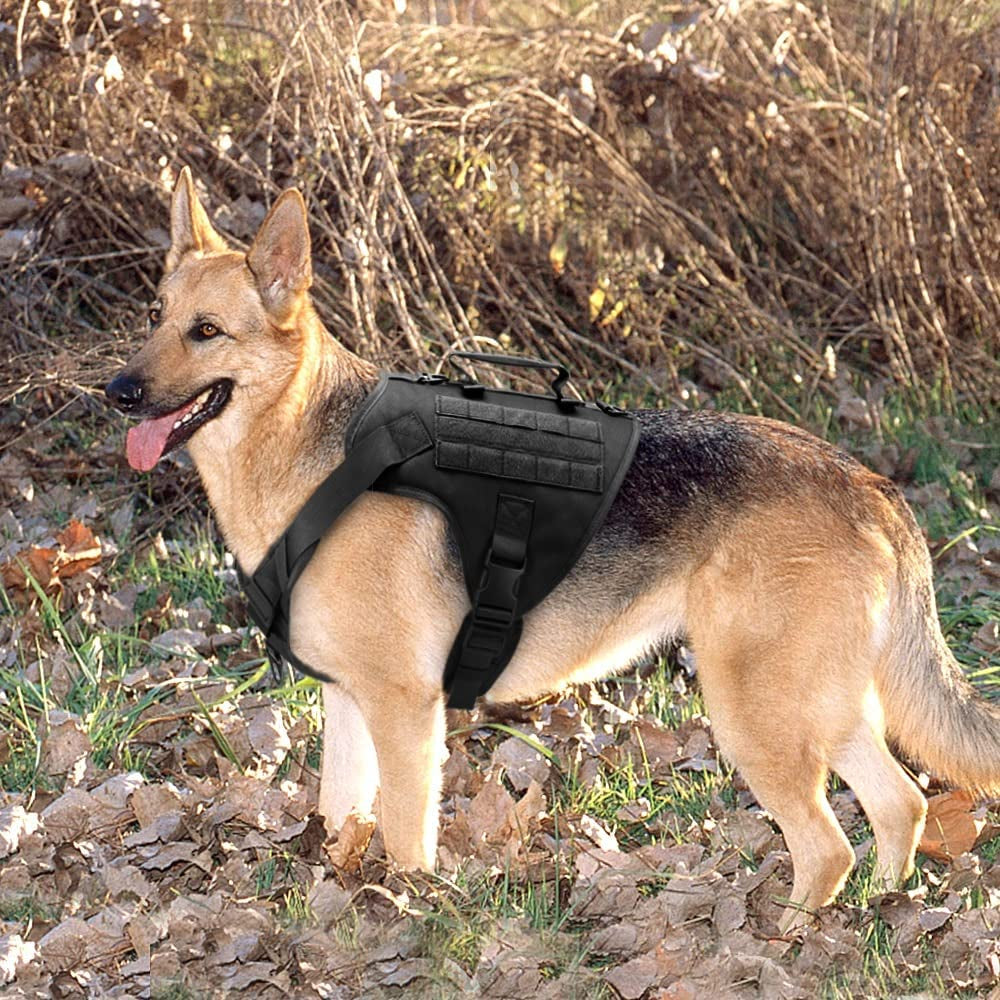 SXNBH Dog Harness Pet Military Training Dog Vest Shepherd Dog Harness Molle Vest for Medium Large Dogs ( Color : E , Size : M ) Animals & Pet Supplies > Pet Supplies > Dog Supplies > Dog Apparel chuju   