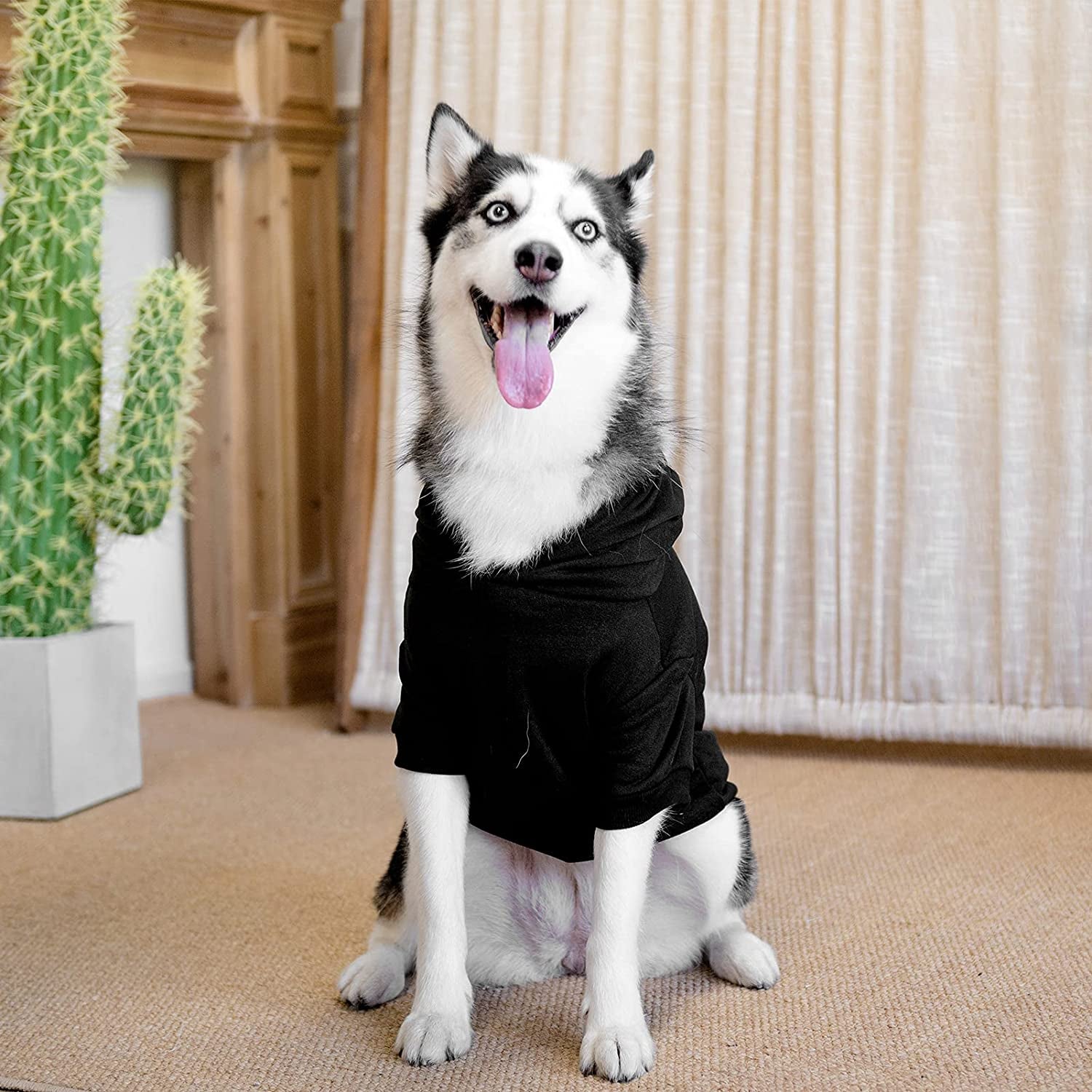 Dog Hoodies Bad the Bone Printed - Cold Protective Winter Coats Warm Puppy Pet Dog Clothes Black Color Large Animals & Pet Supplies > Pet Supplies > Dog Supplies > Dog Apparel BINGPET   