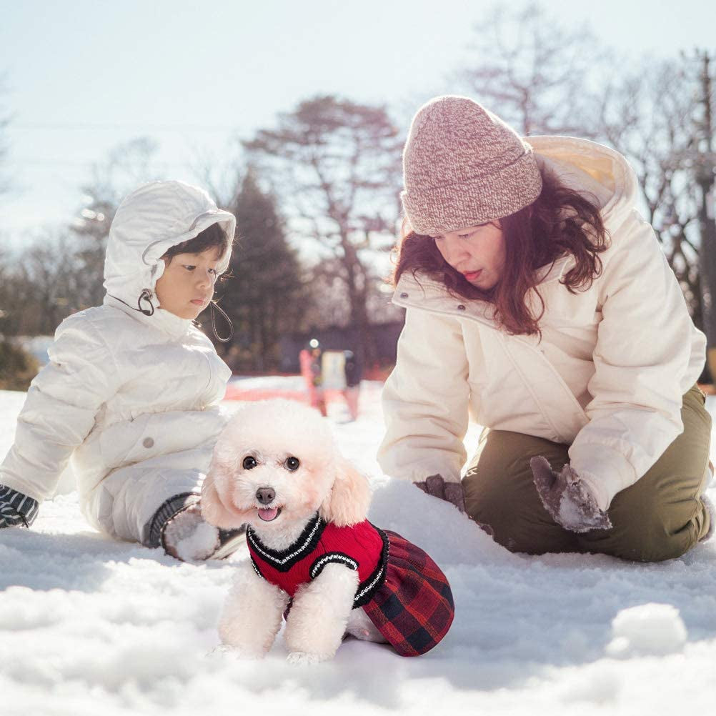 BINGPET Dog Sweater Dress - Plaid Pattern - Warm Pullover with Leash Hole V-Neck Knitwear Pet Sweater Cat Knitted Dress One-Piece Dress for Small to Medium Dog and Cat Animals & Pet Supplies > Pet Supplies > Dog Supplies > Dog Apparel BINGPET   