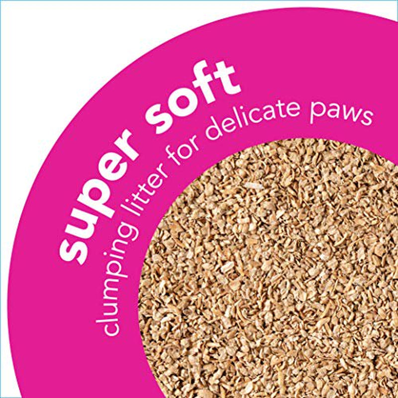 Okocat Premium Super Soft Clumping Natural Wood Cat Litter, Delicate Paws, Unscented,11.2 Lbs Animals & Pet Supplies > Pet Supplies > Cat Supplies > Cat Litter Healthy Pet   