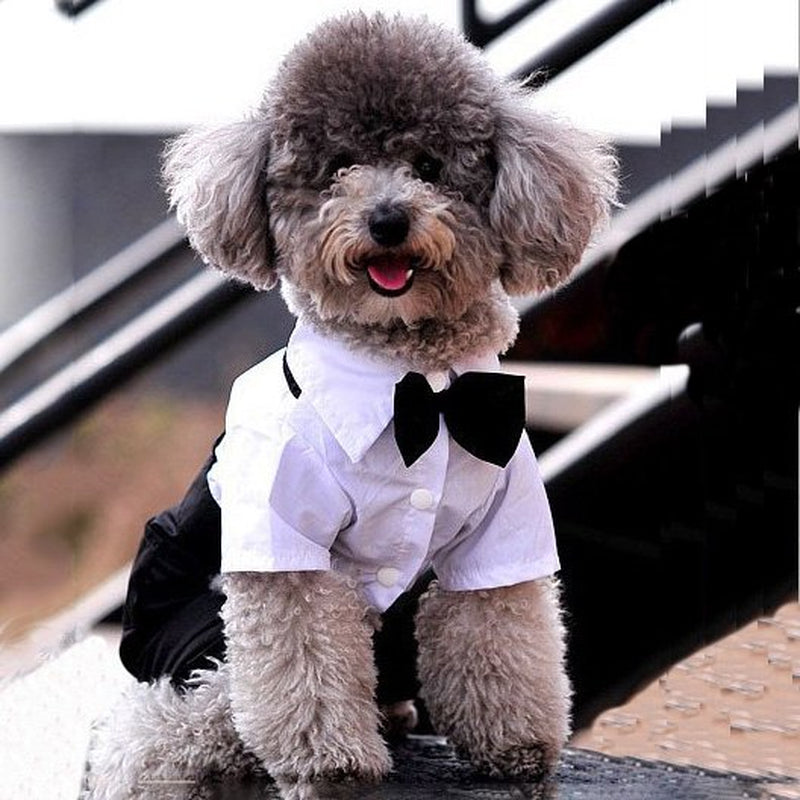 Pet Dog Tuxedo Bow Tie Wedding Suit Clothing Puppy Costumes Clothes Apparel Animals & Pet Supplies > Pet Supplies > Dog Supplies > Dog Apparel Funcee   