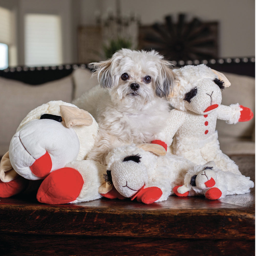 Multipet Lamb Chop Plush Dog Toy, Squeaker Inside, Jumbo Size, 24 Inches Animals & Pet Supplies > Pet Supplies > Dog Supplies > Dog Toys Multipet   