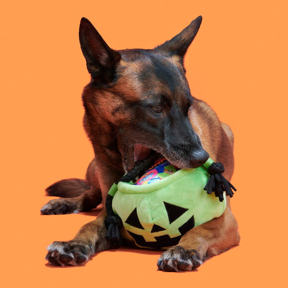 BARK Tricks & Treats Halloween Doggy Bag Dog Toy, Made with T-Shirt Rope, for All Sized Dogs Animals & Pet Supplies > Pet Supplies > Dog Supplies > Dog Toys BARK   