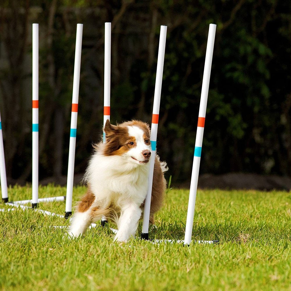 Jadayon Dog Agility Weave Poles, Fixed Set of Agility Weave Poles. Perfect for Backyard Fun and Playing with Your Dog! Animals & Pet Supplies > Pet Supplies > Dog Supplies > Dog Treadmills JaDAYon   