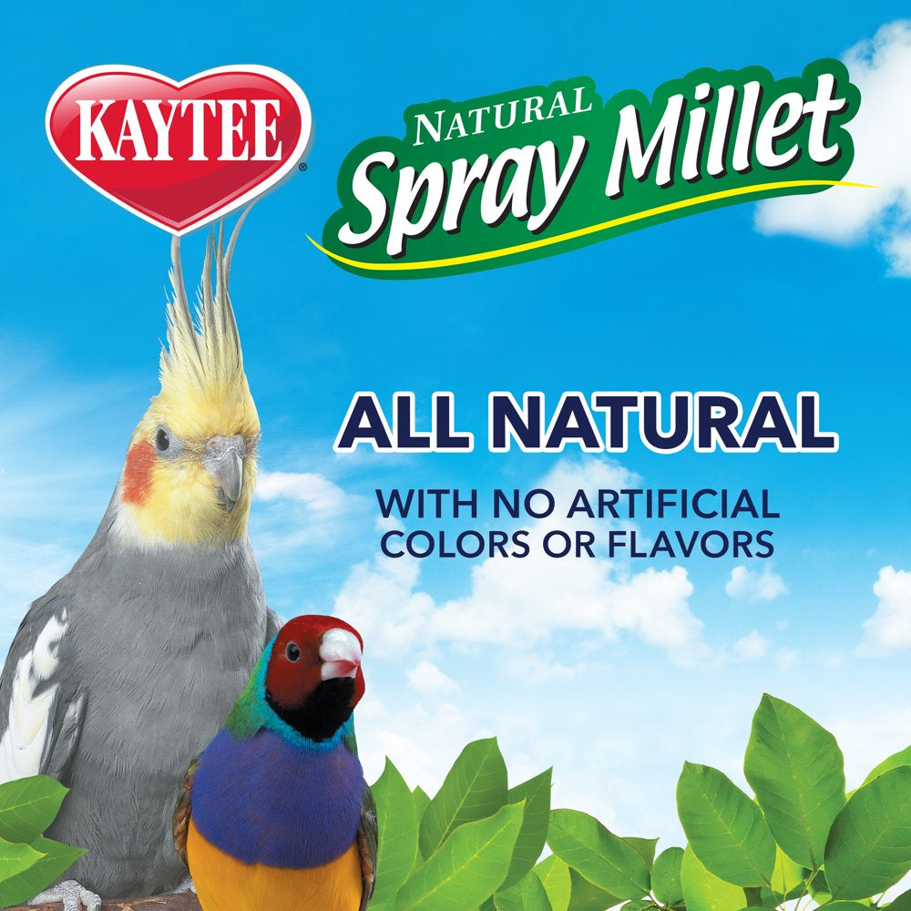 Kaytee Gold Spray Millet for Birds 5 Lb Animals & Pet Supplies > Pet Supplies > Bird Supplies > Bird Treats Central Garden and Pet   