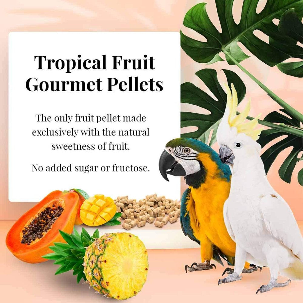 Lafeber 041054726621 4 Lbs Tropical Fruit Gourmet Pellets Bird Food for Macaw Animals & Pet Supplies > Pet Supplies > Bird Supplies > Bird Food Lafeber   