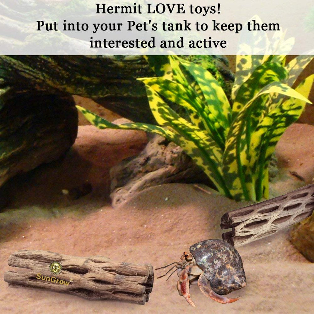 Sungrow Hermit Crab & Leopard Gecko Cholla Wood, for Aquarium Tank Driftwood Decor & Climbing Toy, 6-In, 3 Count Animals & Pet Supplies > Pet Supplies > Fish Supplies > Aquarium Decor Rion PTE. LTD.   