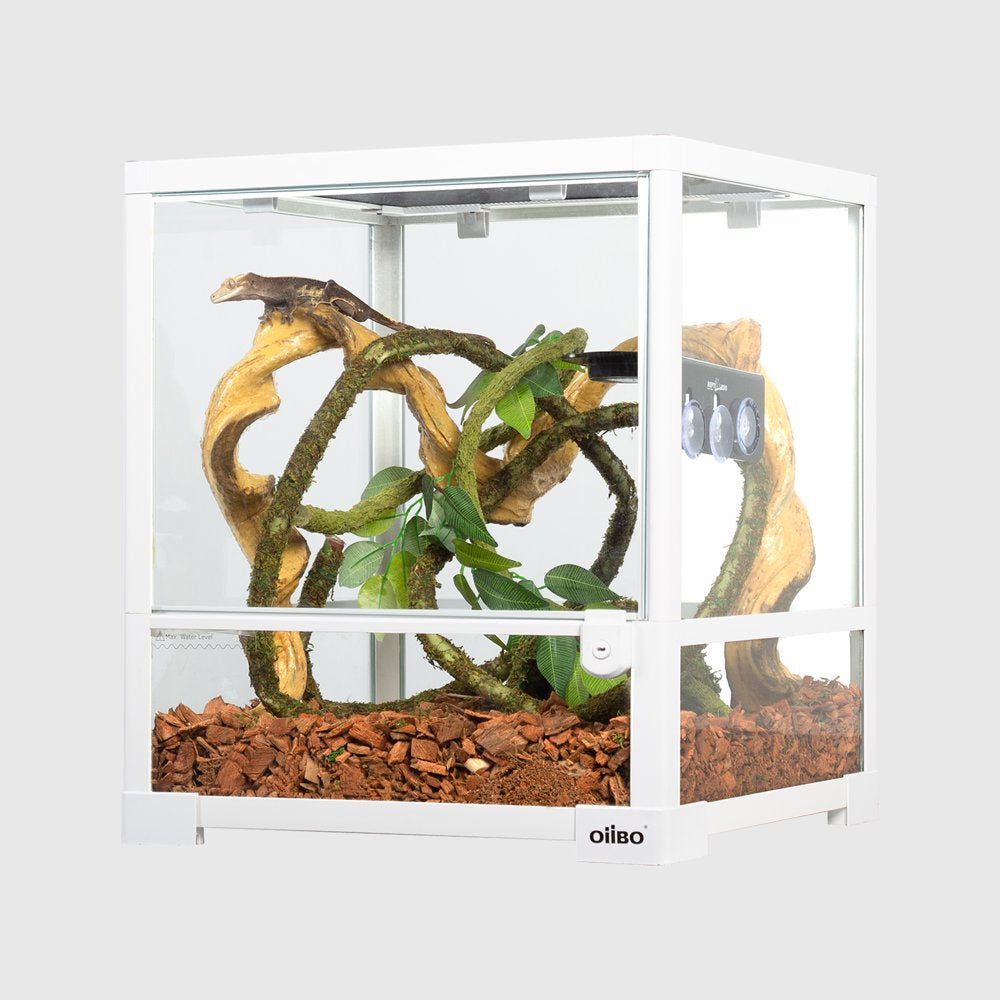 Oiibo Knock down Glass Terrarium, 16×14×18 Inches Animals & Pet Supplies > Pet Supplies > Reptile & Amphibian Supplies > Reptile & Amphibian Substrates etan pet supplies inc   