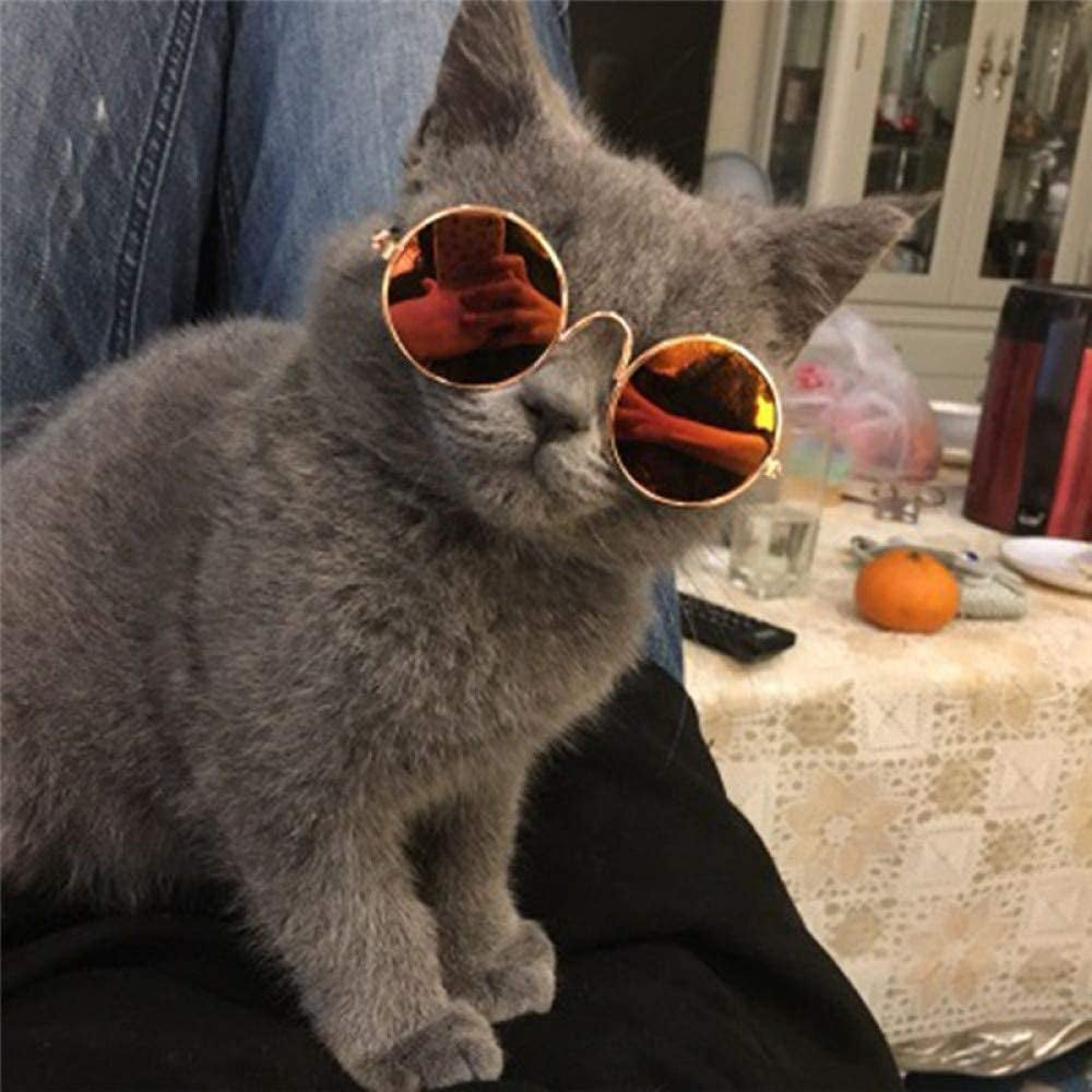 2Pcs Random Color Small Cat Kitten Glasses Pet Glasses Dog Sunglasses Pet Supplies Kittens Pet Sunglasses 3 Cm/1.1 Inch Cosplay Costume Photos Props Animals & Pet Supplies > Pet Supplies > Dog Supplies > Dog Apparel IVYRISE   