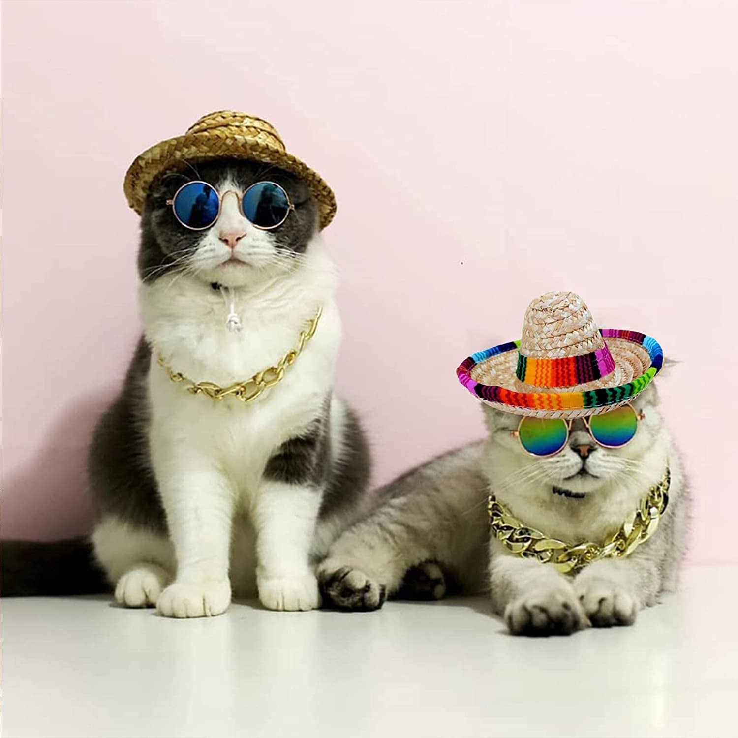 Dog Hat, Mini Sombrero Mexican Hats, Classic Retro Pet Sunglasses and – KOL  PET