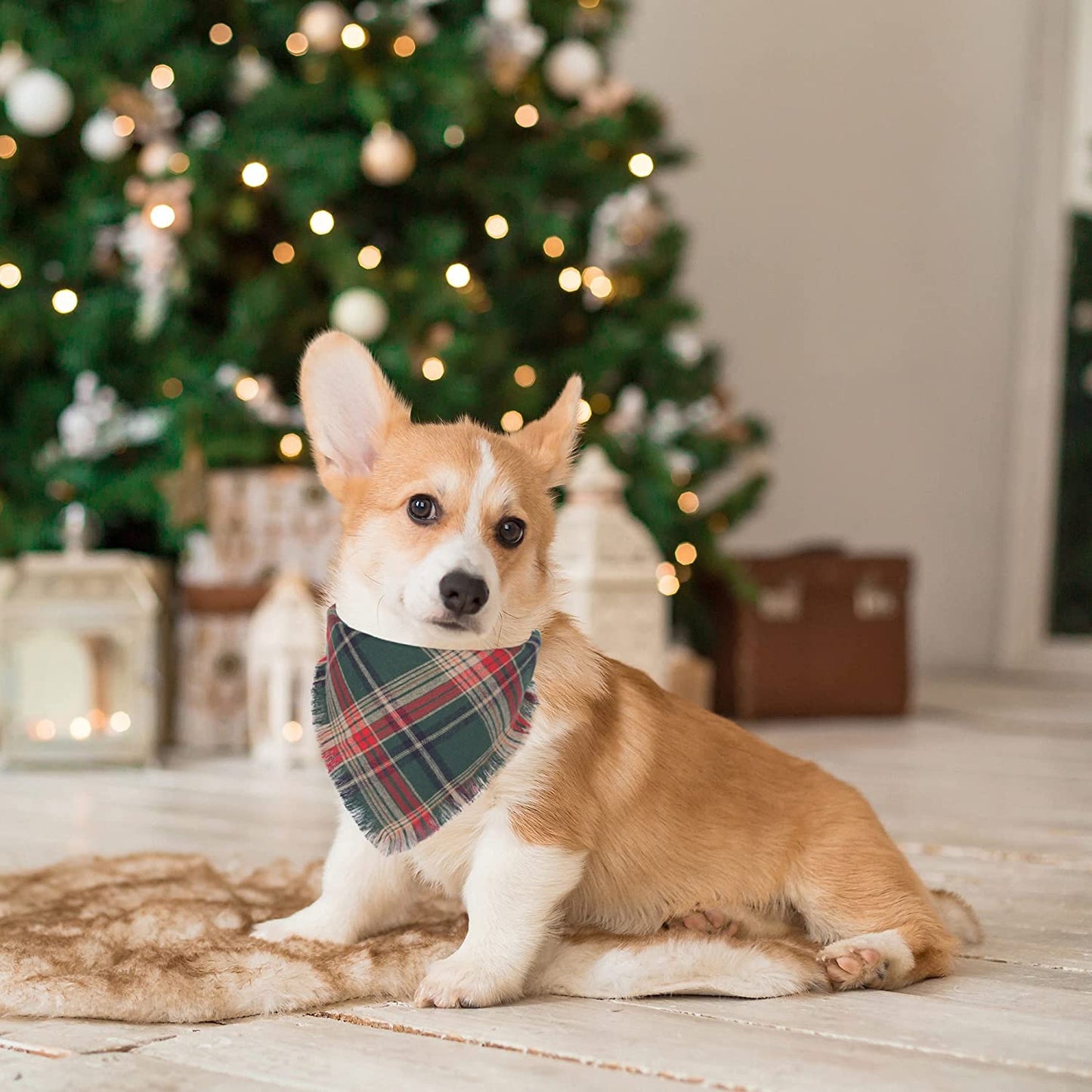 Adoggygo Christmas Dog Bandanas with Tassels Edges, Stylish Plaid Dog Christmas Scarf Bib, Multiple Sizes Offered, Plaid Bandanas for Medium Large Dogs (Large, Red & Green) Animals & Pet Supplies > Pet Supplies > Dog Supplies > Dog Apparel ADOGGYGO   