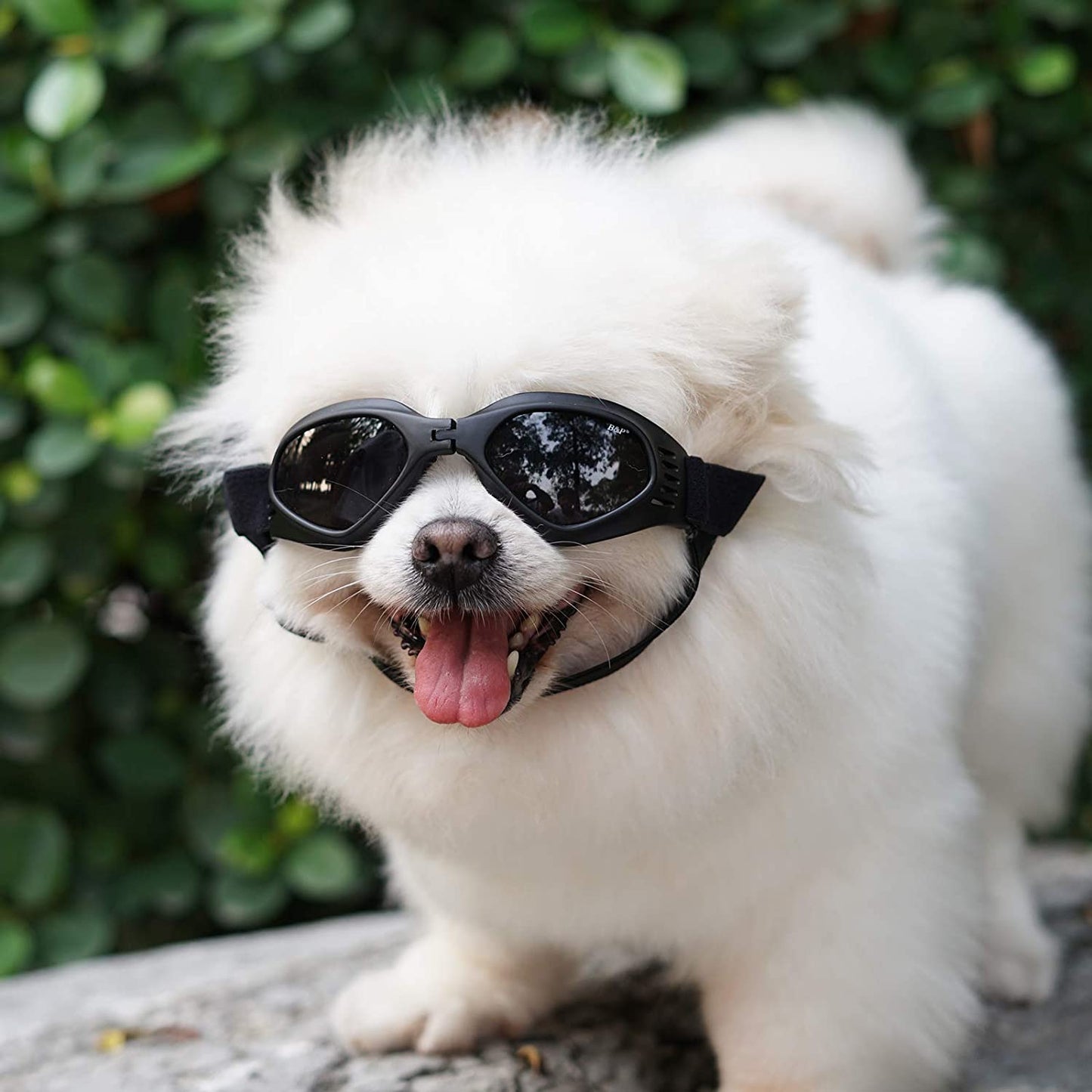 Dog Goggles for Small Dogs, Pet Sunglasses Adjustable Eye Wear Protection Windproof Sunglasses Animals & Pet Supplies > Pet Supplies > Dog Supplies > Dog Apparel CETYFY.CO   